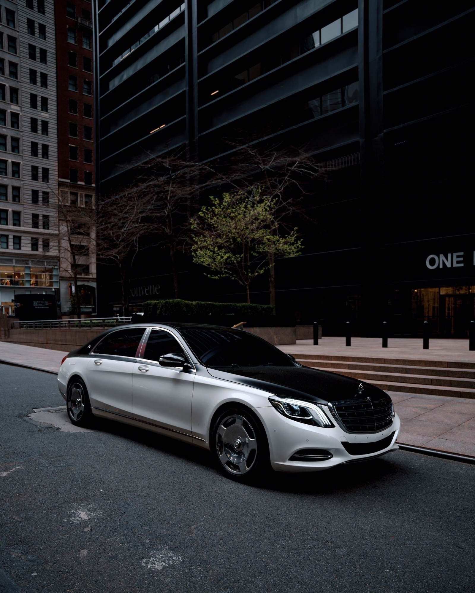 Black tuxedo Maybach