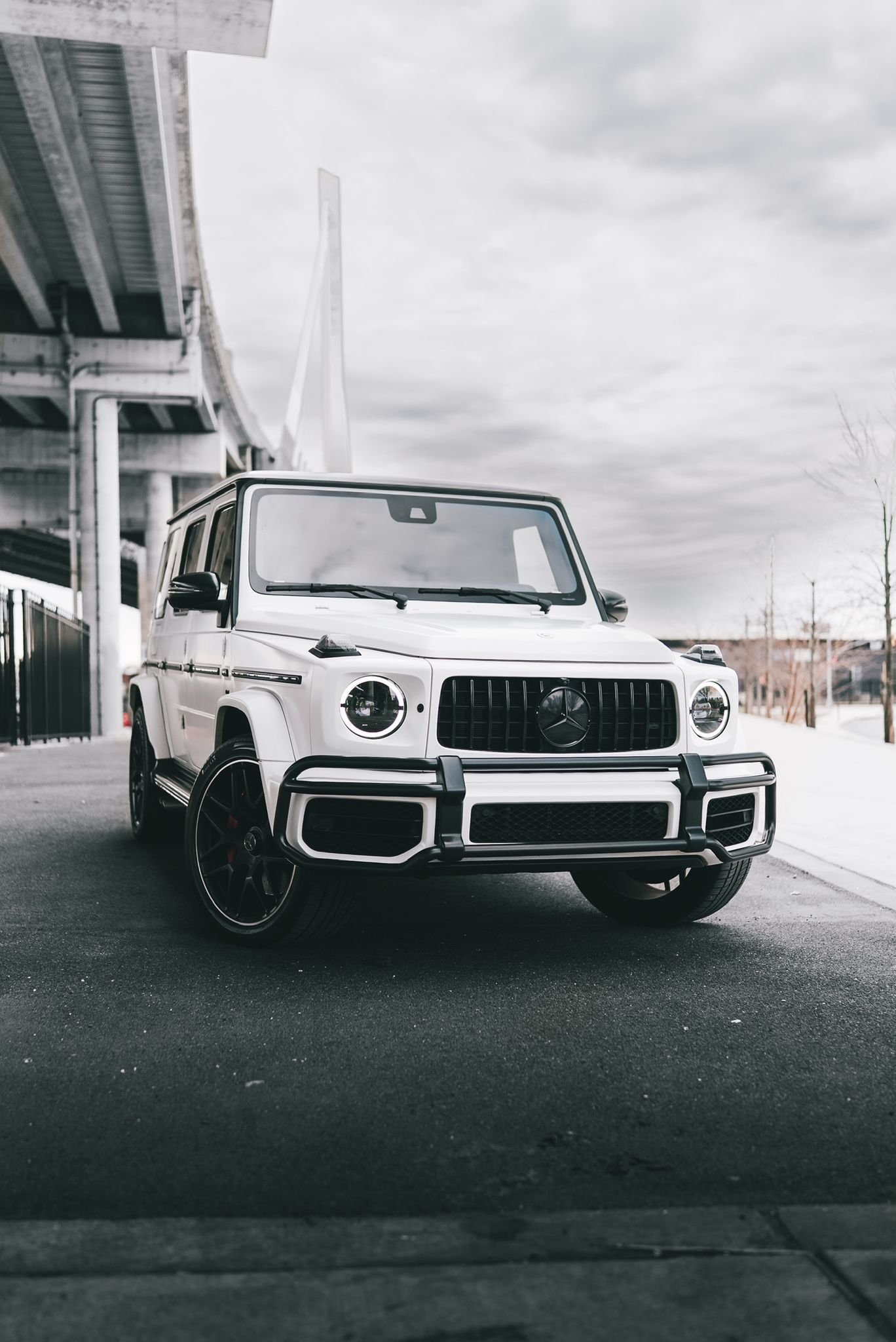 WhatsApp Image 2025-06-27 at 2.50.40 PM (1)